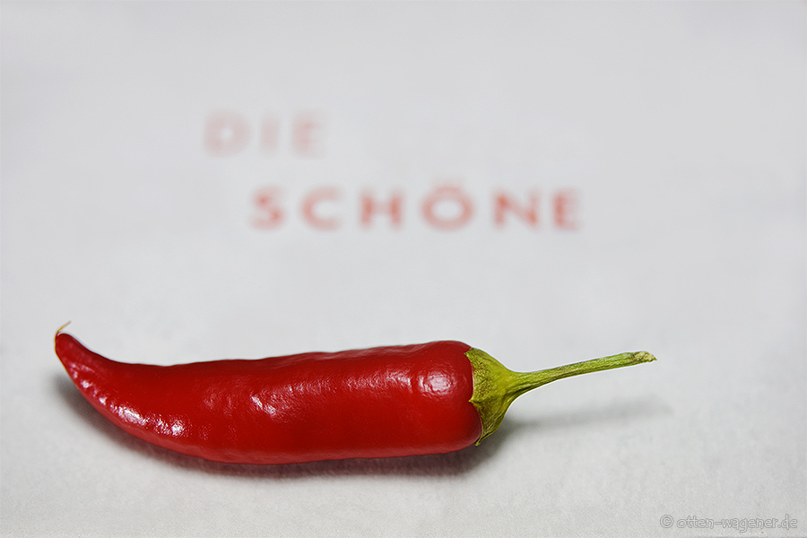 Die Schöne